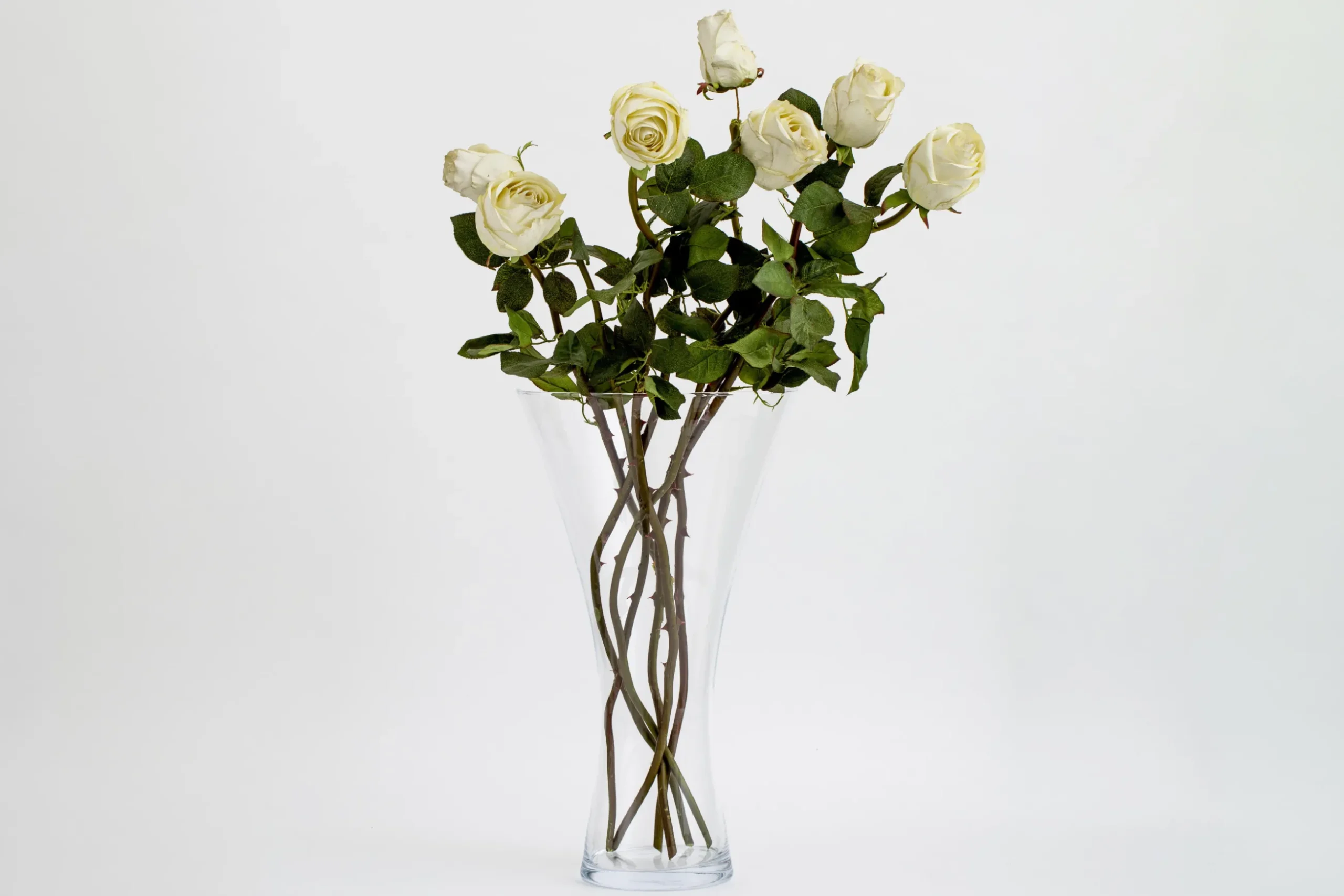 Belluno, Vase, Glass, L