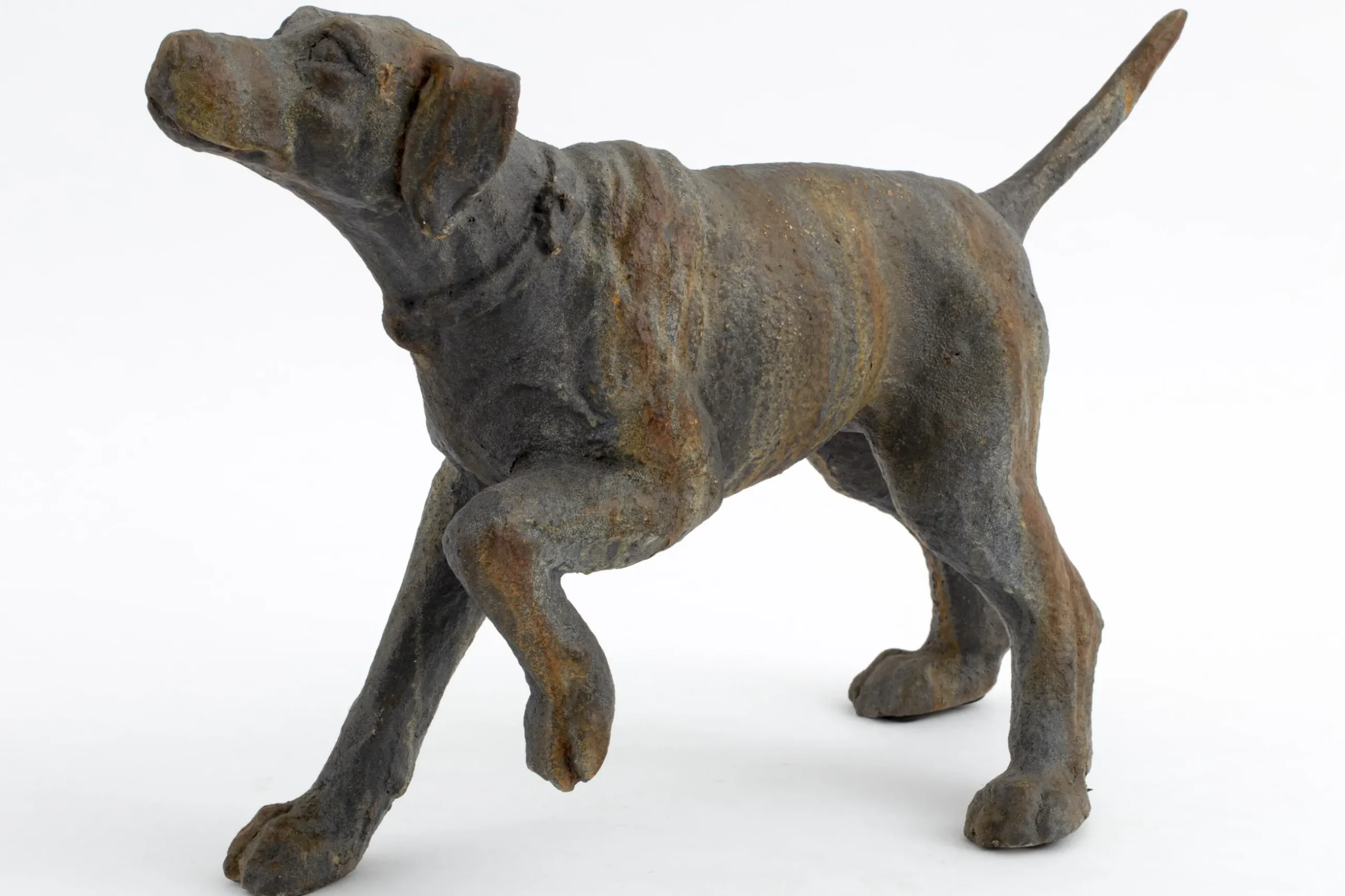 Blakeley, Dog