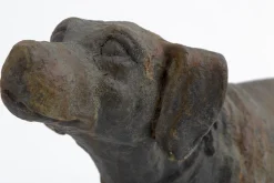Blakeley, Dog