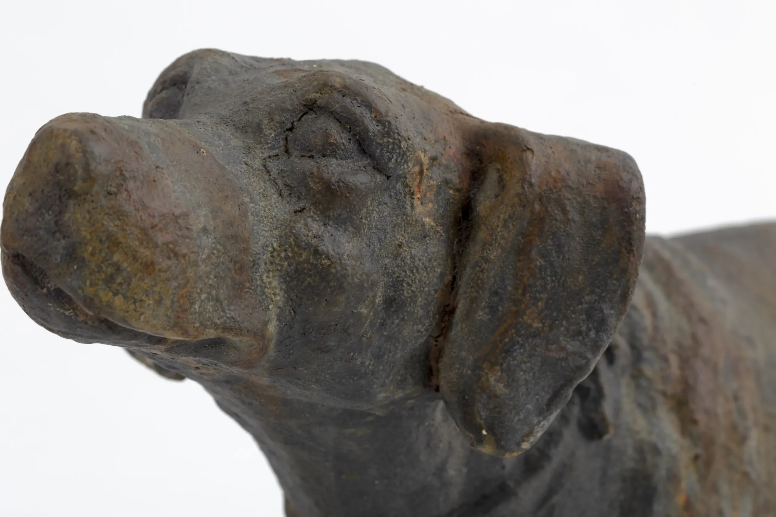 Blakeley, Dog