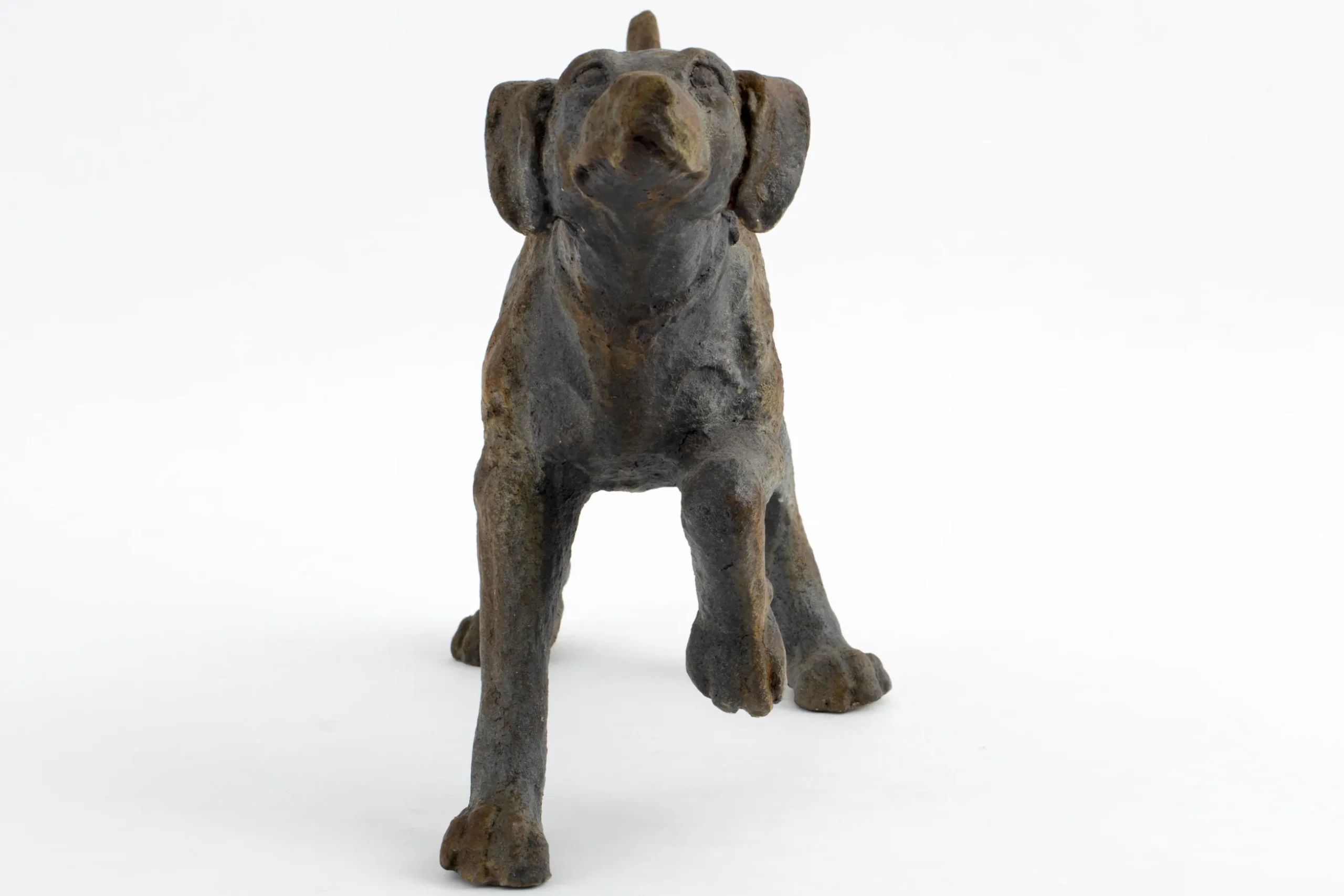 Blakeley, Dog
