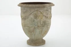 Ceanu, Planter, L