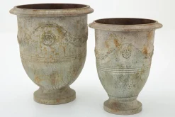 Ceanu, Planter, L