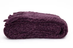 Einstein, Plaid, Purple