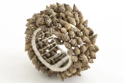 Kanare, Napkin Ring, Shells