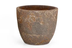 Kronob, Planter, L