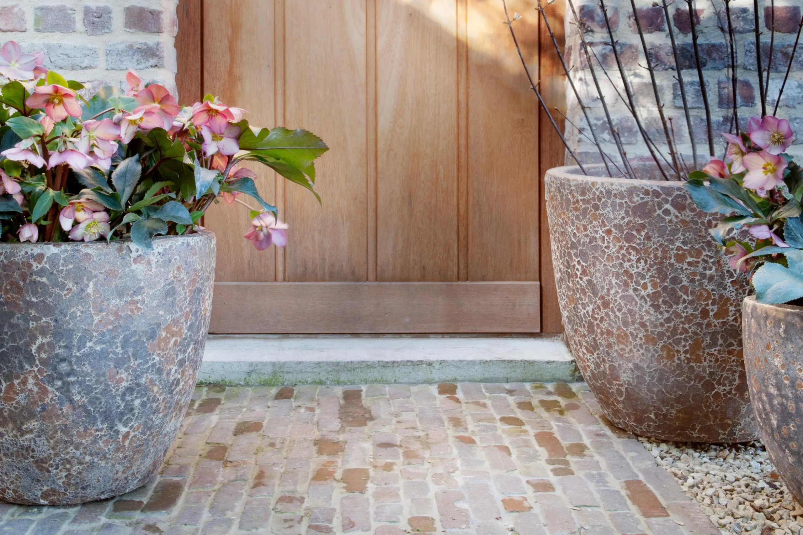 Kronob, Planter, L