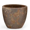 Kronob, Planter, M
