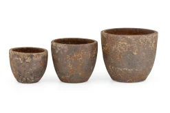 Kronob, Planter, M