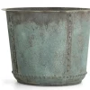 Manoli, Planter, L