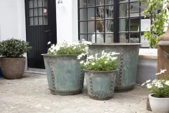 Manoli, Planter, L