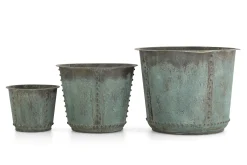 Manoli, Planter, L