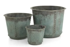 Manoli, Planter, M