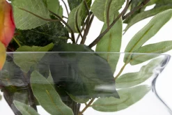 Mirac, Vase, Glass, H30