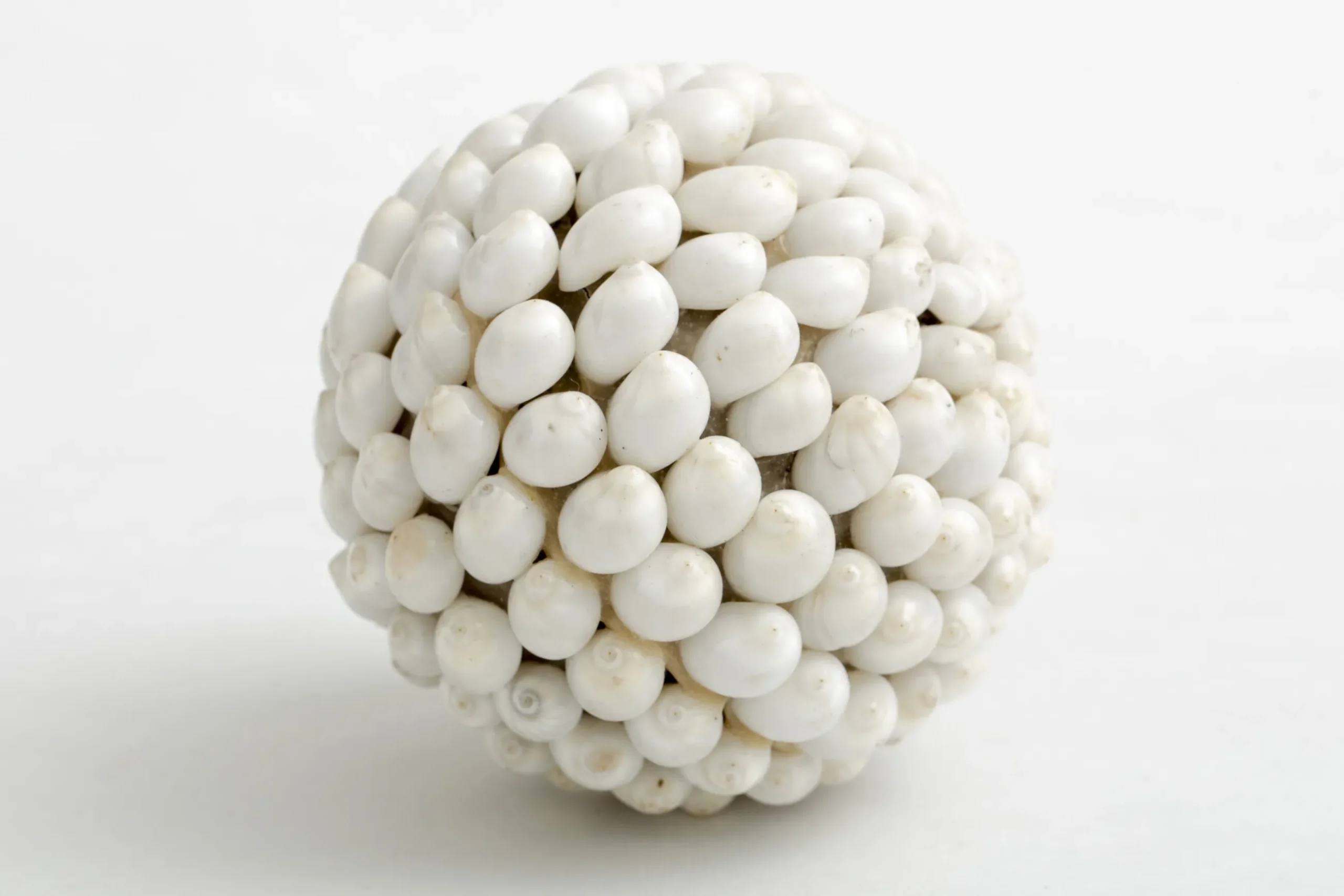 Nalani, Deco Ball, L