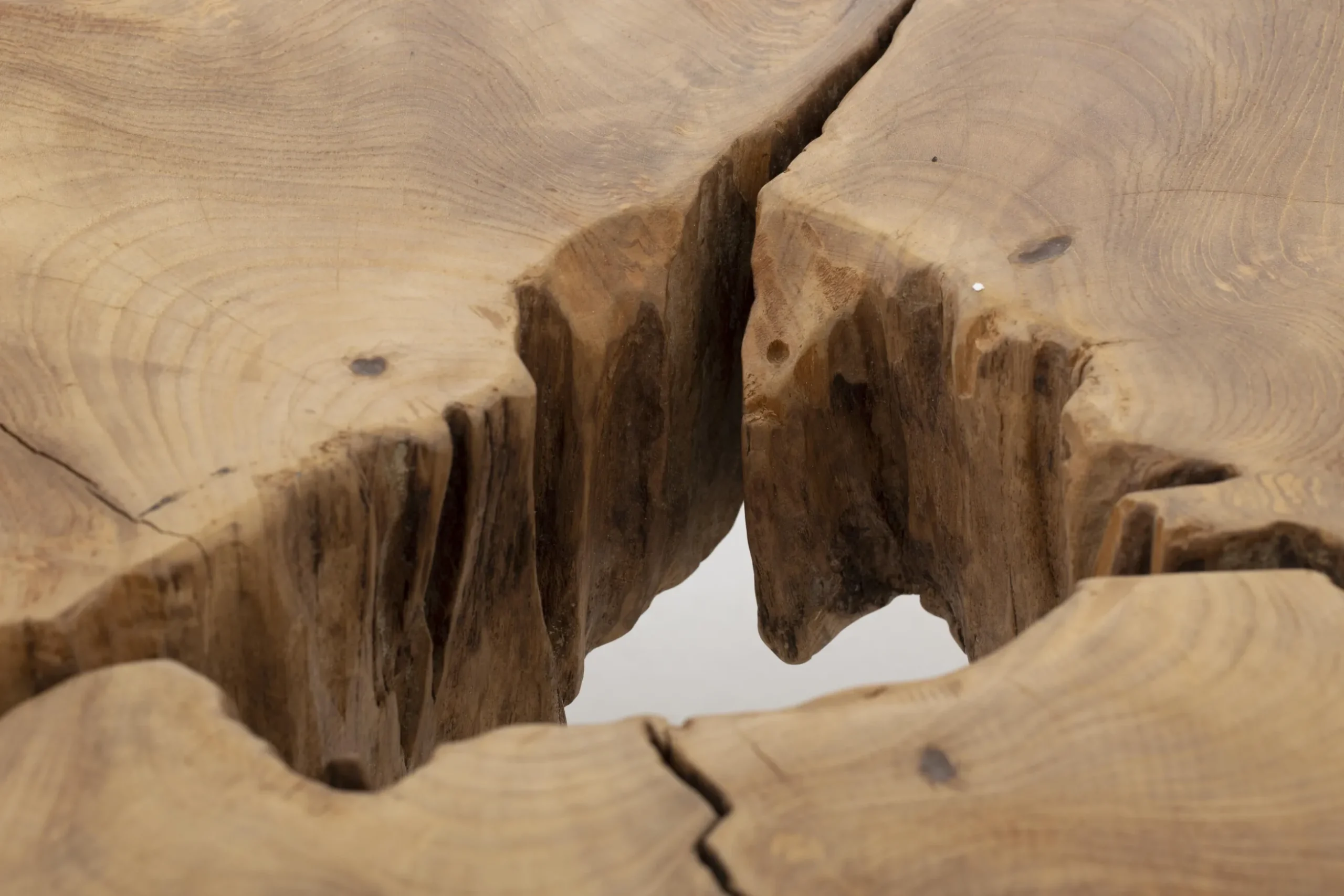 Ray, Coffee Table, Wood
