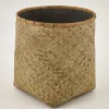 Tizio, Planter, L