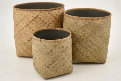 Tizio, Planter, M
