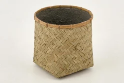 Topix, Planter, L