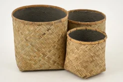 Topix, Planter, M